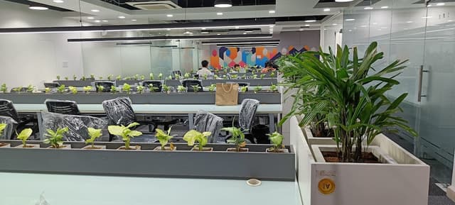 SVAMWORK, C Block, Sector-63